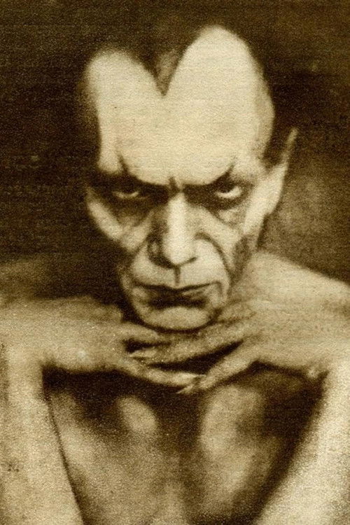 Aleksandar Vereščagin as 