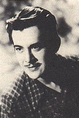 Ramon D'Salva as Firewall