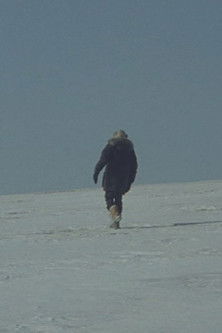 Une Histoire de Cheveux (Sibérie) poster