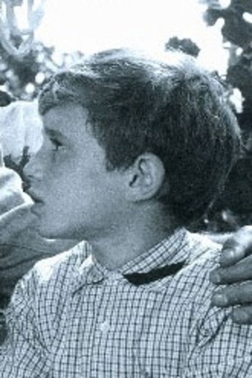 Giancarlo Damiani as Mario