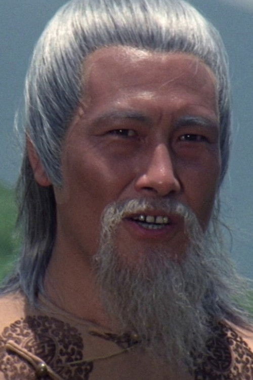 Li Hsin-Hua as Young Master Tsui