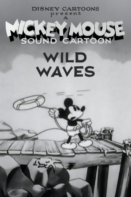 Wild Waves poster