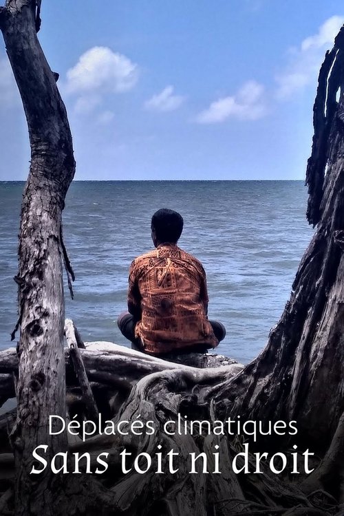 Climate Refugees: A Global Challenge