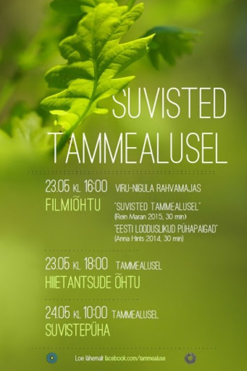Suvisted Tammealusel poster