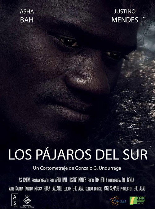 Los Pájaros del Sur
