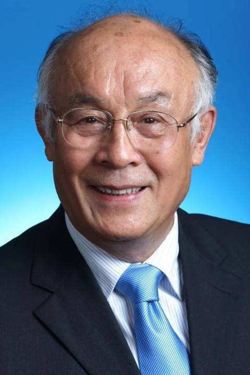 Xu Huanshan as 黄百韬