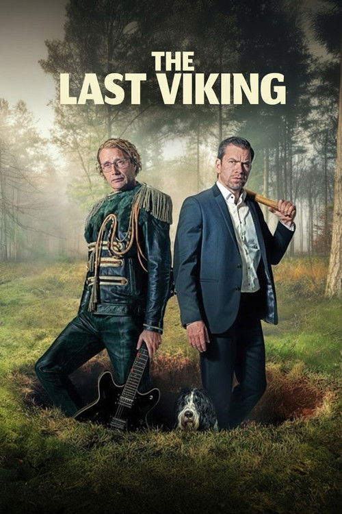 The Last Viking poster
