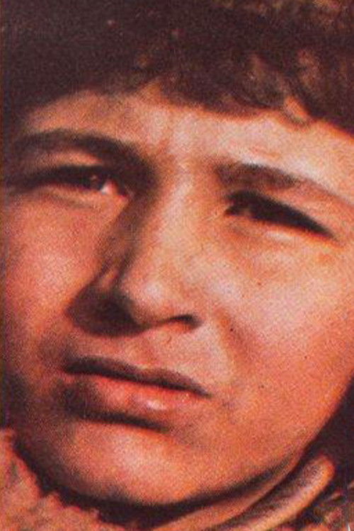 Polat A. Jöntürk as Destan