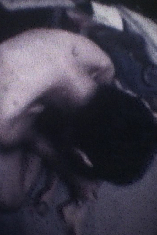 Film/Fragment for Strings, Percussion and Celesta poster