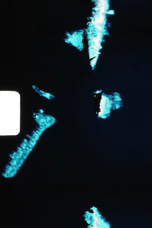 Bite Me. Once Already.