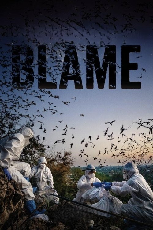 Blame poster