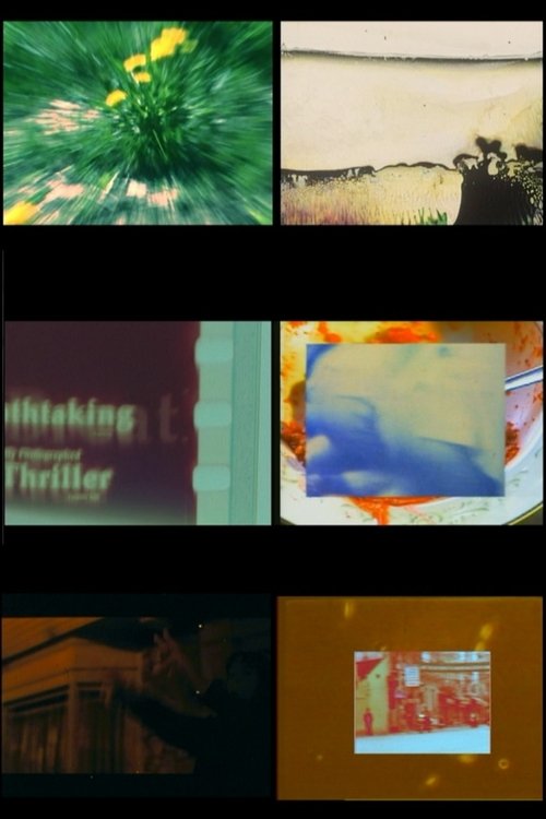 XY Chromosome Project poster