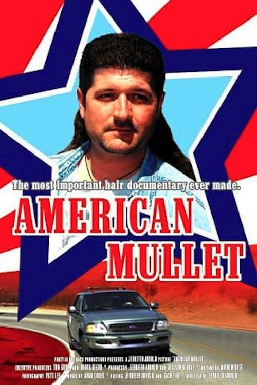 American Mullet poster