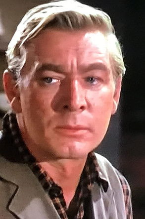 Wesley Lau as Company Executive (uncredited)