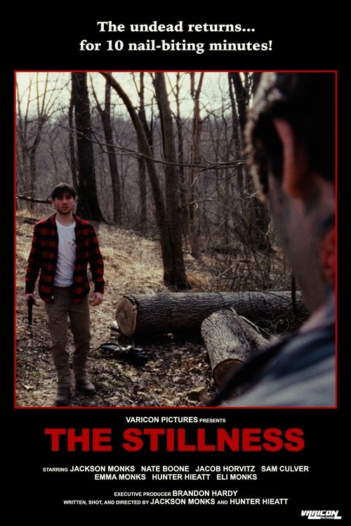 The Stillness poster