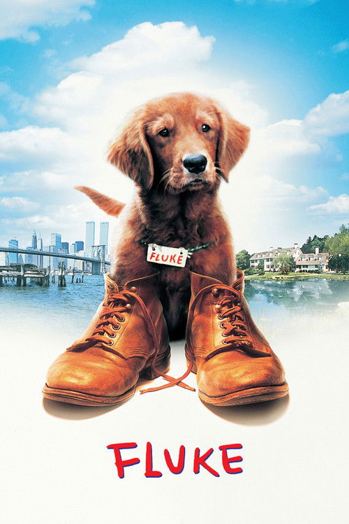 Fluke poster