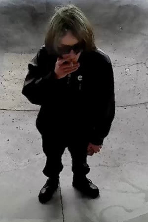 Ben Pritchard as Scott