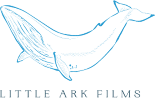 Little Ark Films logo