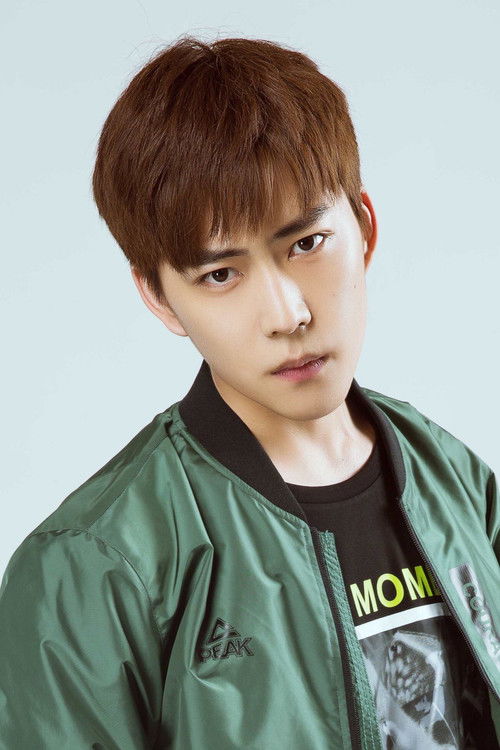 Liu Zheer as Qi Lang