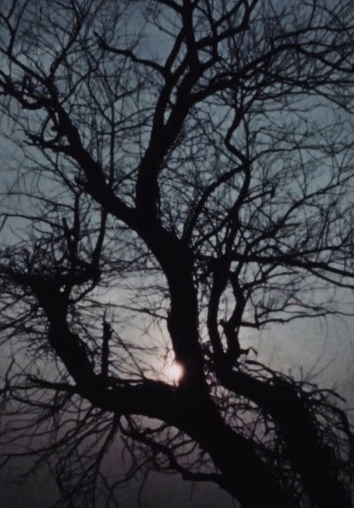 Street Film Part VII poster