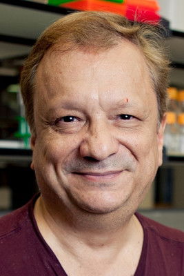 Michael Rampino as Geologist