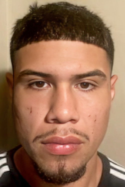 David Romero as Self