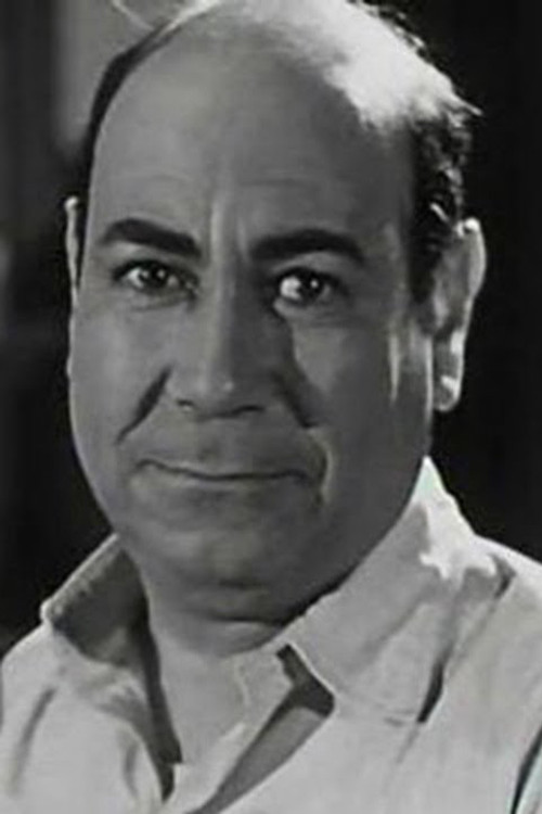 Hassan Fayek as نايلون