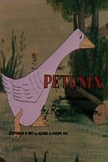 Petunia poster