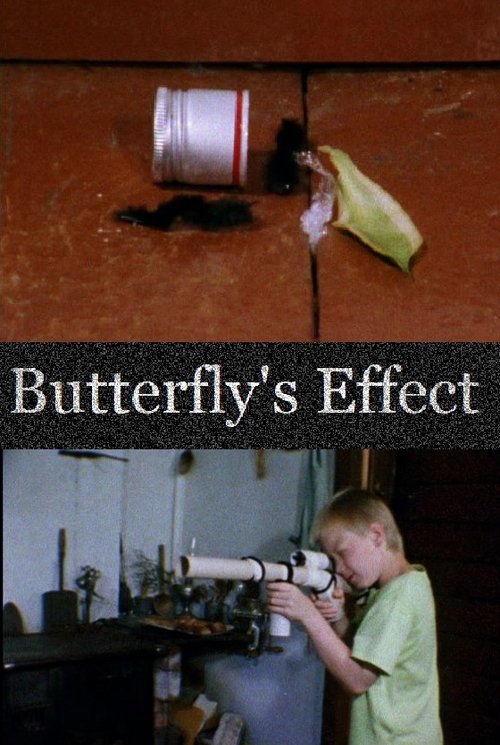 Butterfly's Effect poster