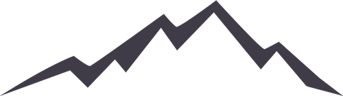 Leo Dickinson Productions Limited logo