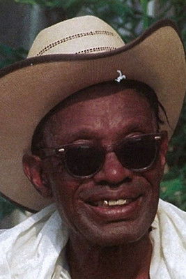 Lightnin' Hopkins as Self
