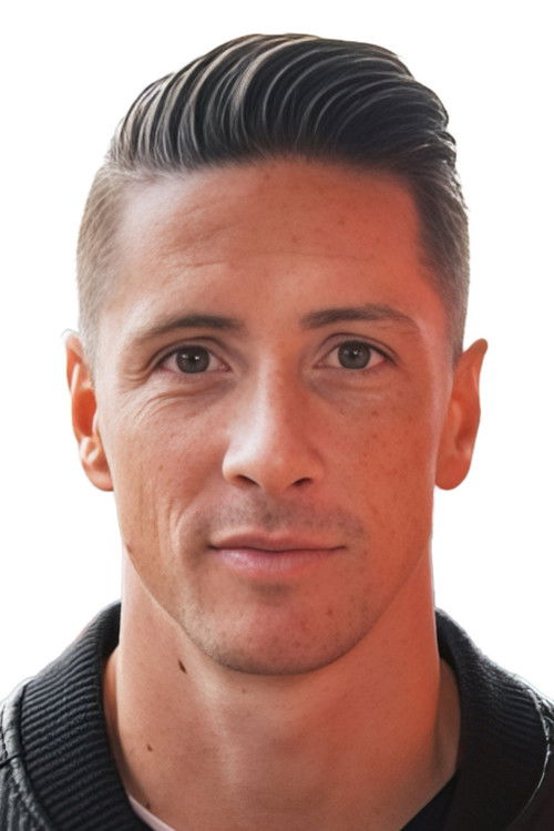 Fernando Torres as 