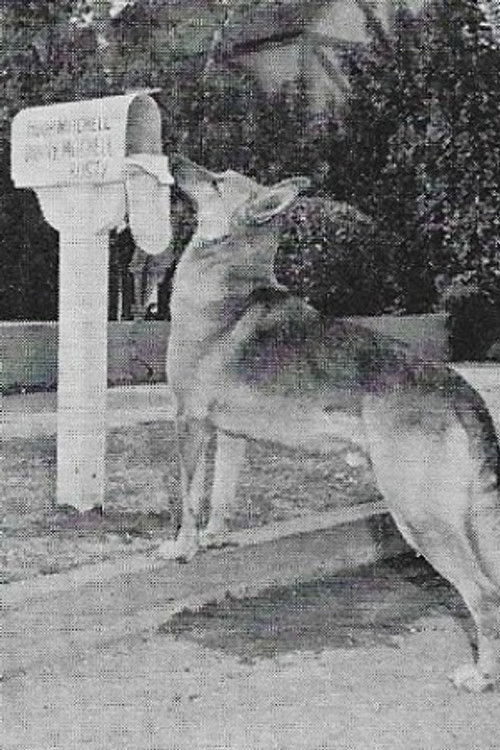 Flame the dog as Big Dan, the Dog