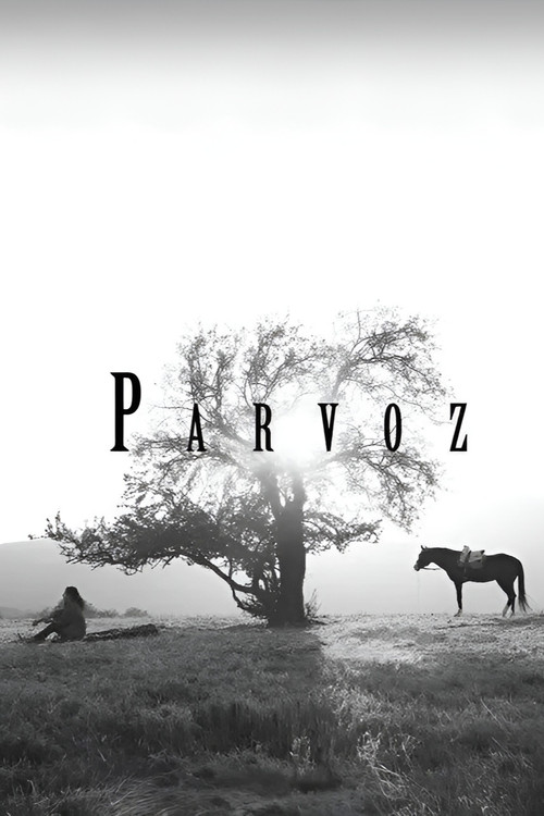 Parvoz