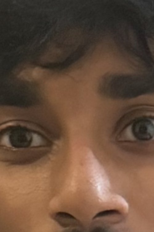 Pranav Krishnan as The E. Board/ Detective Vikram