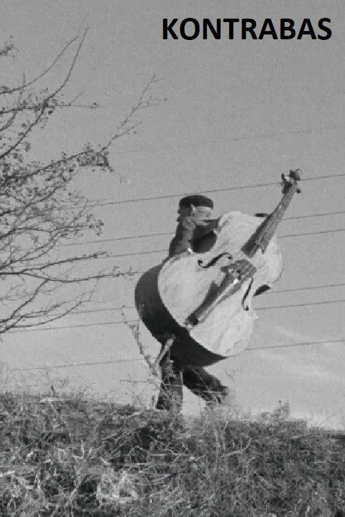 The Double Bass poster