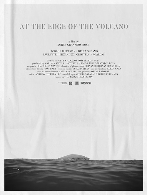 At the Edge of the Volcano poster