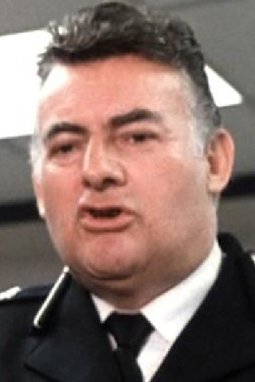 Jim James as Senior Police Officer