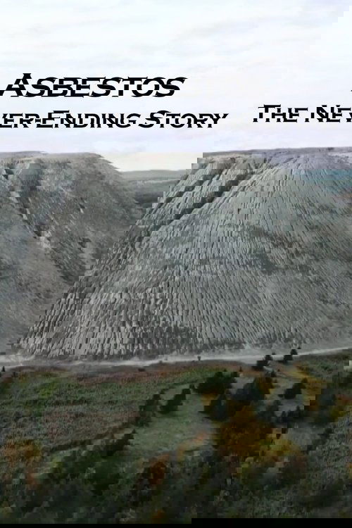 Asbestos: The Never-Ending Story poster