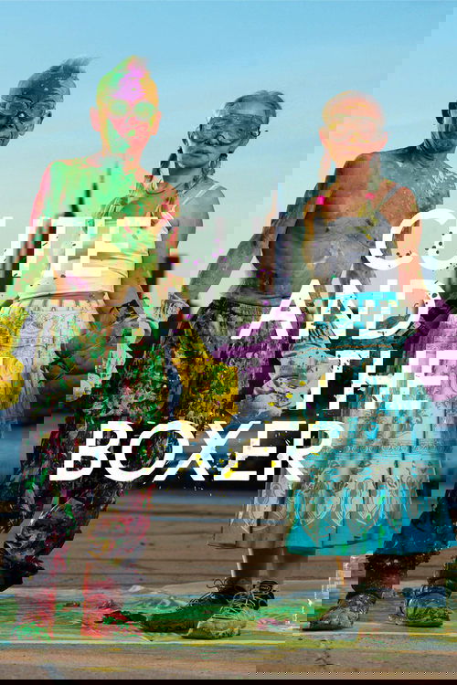 Cutie and the Boxer poster