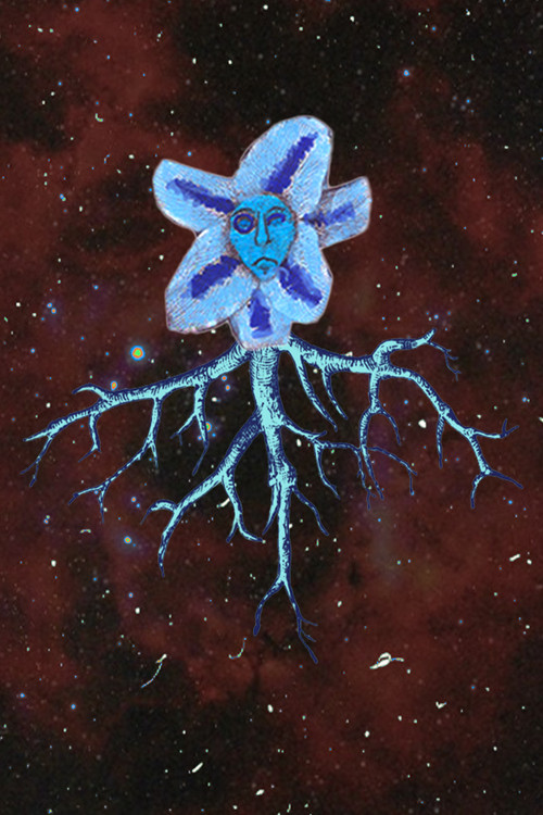 Dominique as Planta 2