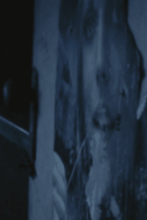 Bachelor Apartment poster