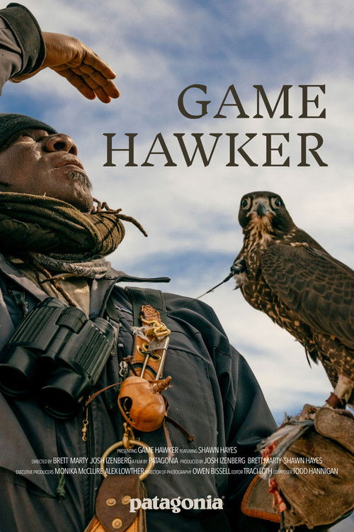 Game Hawker poster