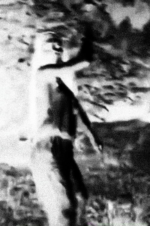 Nothing Never Ends. poster