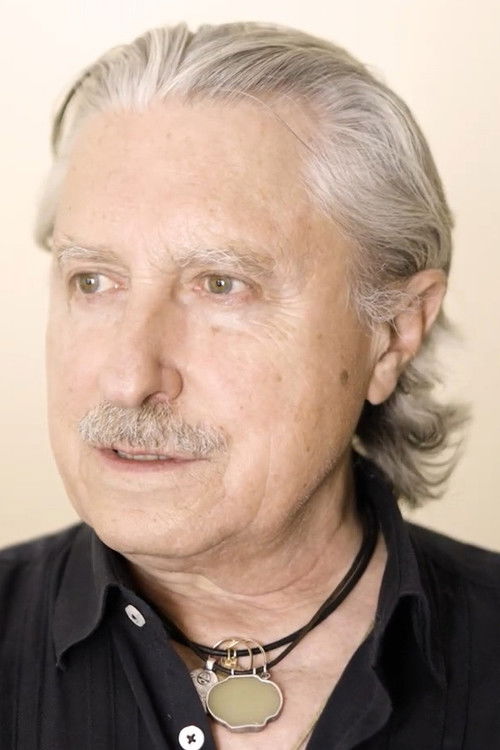 Melchor Miralles as Periodista