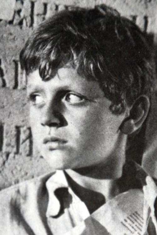 Ivan Enchev as Mitko Palauzov