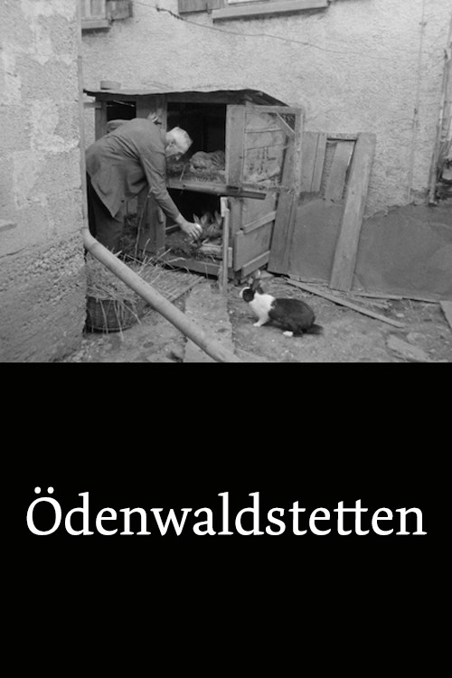 Ödenwaldstetten poster