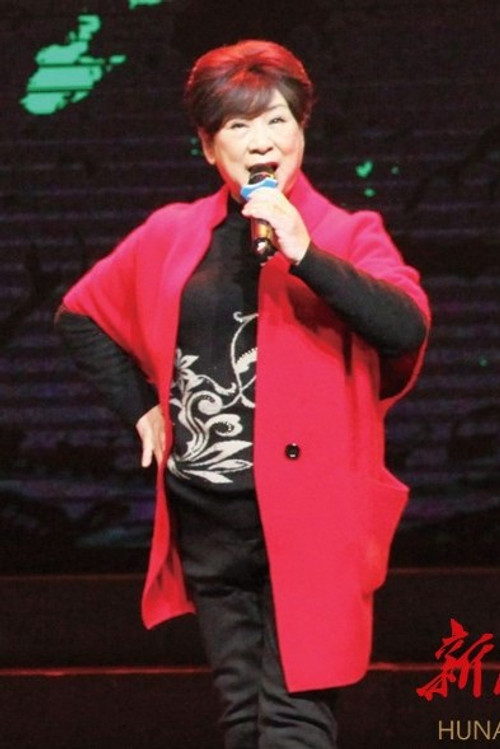 李晓嘉 as 严婶
