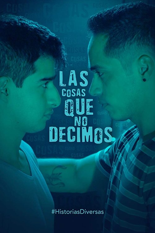 The Things We Don't Say poster