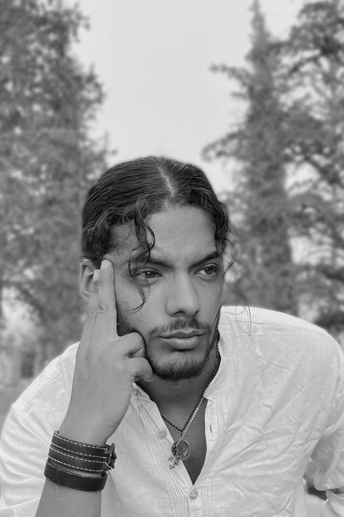 Bouchikhi Kheir-Eddine as Arbi Alaa